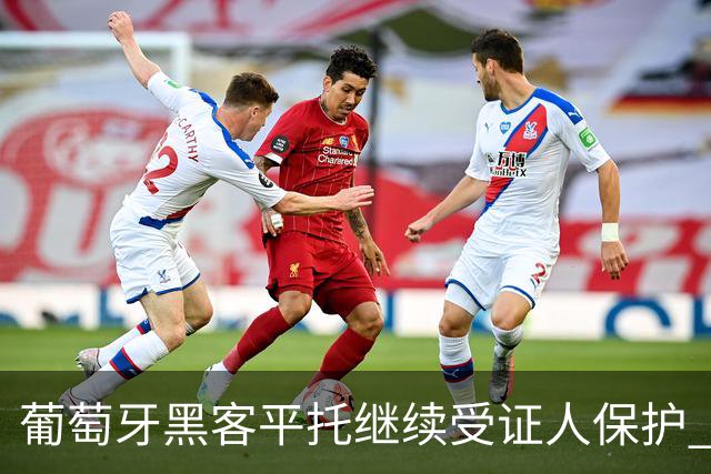 葡萄牙黑客平托继续受证人保护 稍获喘息之机